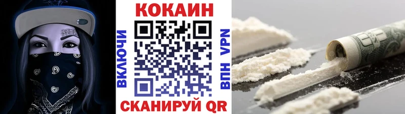 купить наркоту  Шебекино  ссылка на мегу как зайти  Cocaine Fish Scale 