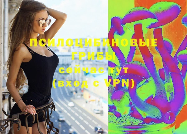прущий лед Алексин