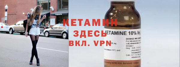 шишки Абаза