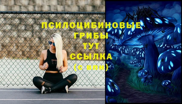 ПСИЛОЦИБИНОВЫЕ ГРИБЫ Абинск