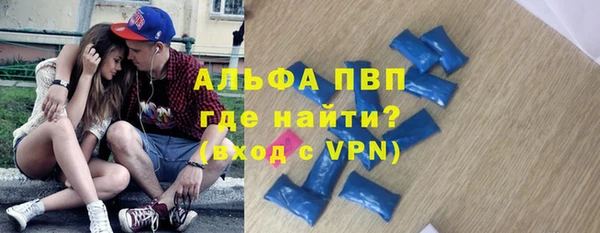 шишки Абаза