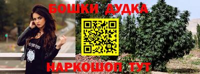 мдпв Нальчик