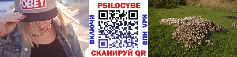 Псилоцибиновые грибы Magic Shrooms купить Шебекино
