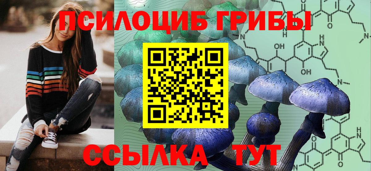 Шебекино  Галлюциногенные грибы ЛСД  Вход с VPN 